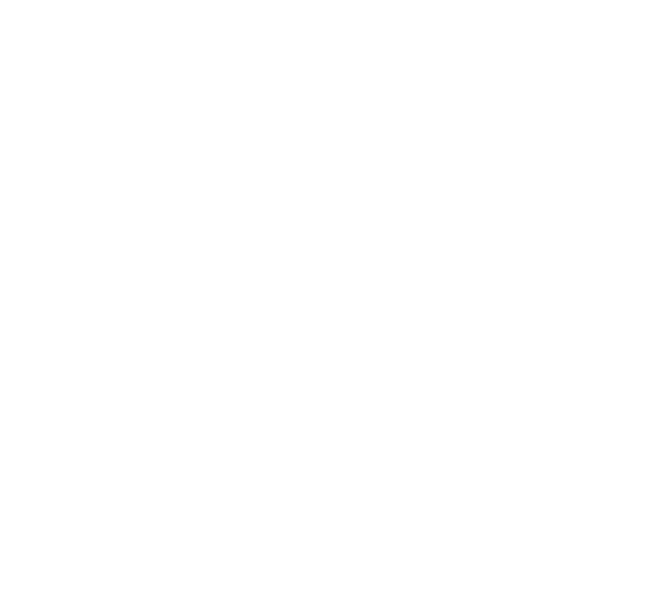Vortex Encuestadora